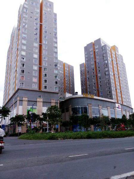 Đi đến slide 8