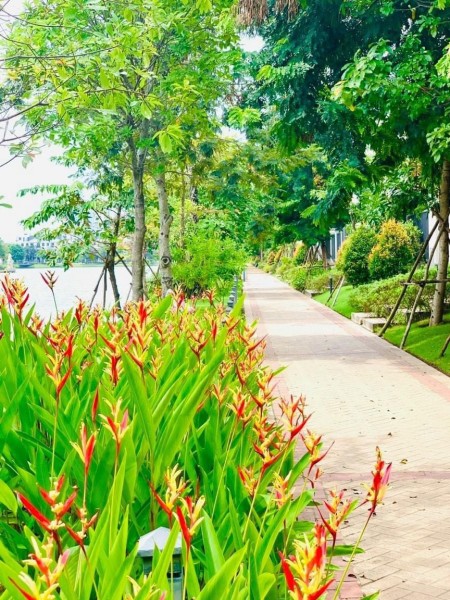Đi đến slide 6