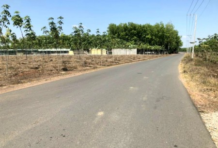 Đi đến slide 8