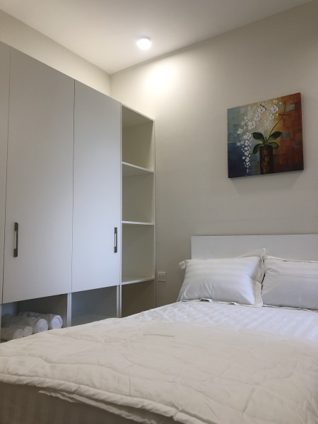 Cần cho thuê căn hộ chung cư Diamond Lotus Riverside, 49C Lê Quang Kim, Quận 8, TP. HCM