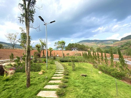 Đi đến slide 11