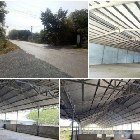 Cần Múa Bán Đất Xã Phú Mỹ Hưng Củ Chi Diên Tích 150000m Đường Nhựa Container