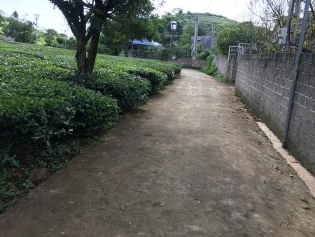Bán mảnh đất diện tích 800m2 có 100m2 thổ cư ở Bãi Sậy, Mường Sang, Mộc Châu