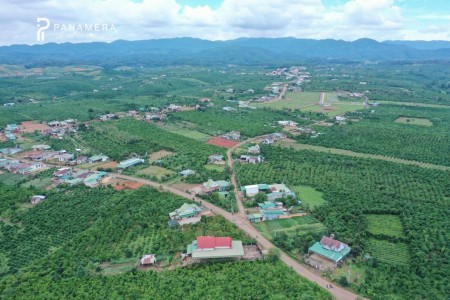 Đất full thổ cư tại Bảo Lâm, Bảo Lộc mặt tiền Nguyễn Văn cừ 24m giá đầu tư 6 triệu/m2