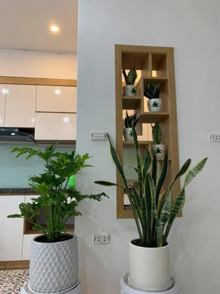 Bán Nhà Khương Trung Quận Thanh Xuân, dtsd 36m2, mặt tiền 5.8m, giá 4.1 tỷ, ô tô đỗ cửa