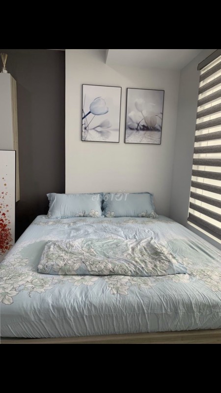 Chính chủ cho thuê căn hộ Sunrise City Nguyễn Hữu Thọ Quận 7 giá từ 8 triệu/tháng