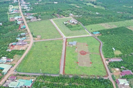 Đất đầu tư mặt tiền lộ 24m sổ đỏ công chứng trong ngày chiết khấu 4% Áp dụng đến 09/11