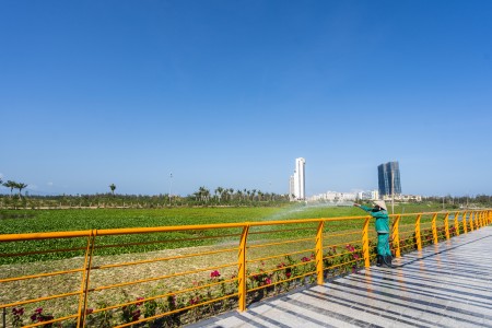 Đi đến slide 8