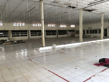 Cho thuê nhà xưởng làm ngành may diện tích 3800m2 Bà Điểm, Tân Thới Nhất