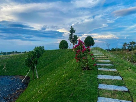Đất nền sổ đỏ ven sông giáp khu phía Nam Sài Gòn đã có sổ đổ sẵn, ngân hàng hỗ trợ vay