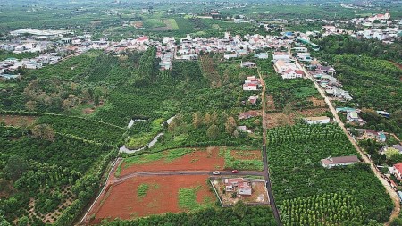 Cần bán gấp lô đất vị trí đẹp tại Huyện Bảo Lâm - Lâm Đồng giá siêu ưu đãi, đầu tư sinh lời