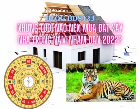 Những tuổi nào nên mua đất xây nhà trong năm Nhâm Dần 2022? Những tuổi nào nên mua đất xây nhà trong năm Nhâm Dần 2022?
