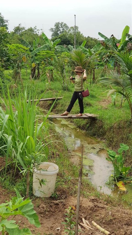 Đi đến slide 4