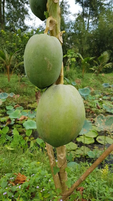 Đi đến slide 3