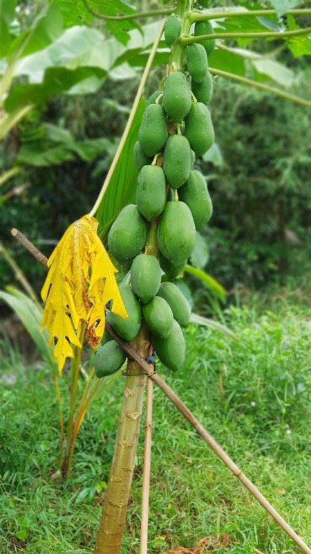 Đi đến slide 10
