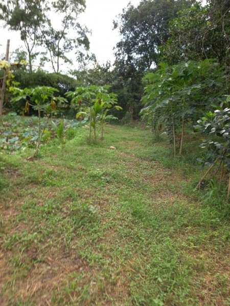 Đi đến slide 7