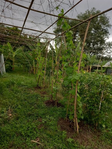 Đi đến slide 6