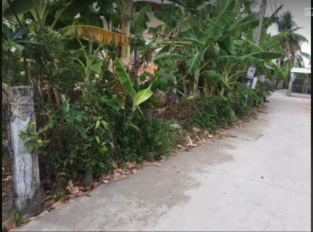 Bán đất thổ cư 455,8m2 giá 5tr/m2 Mặt tiền công viên văn hóa huyện Giồng Trôm, Bến Tre