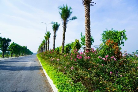 Đi đến slide 15