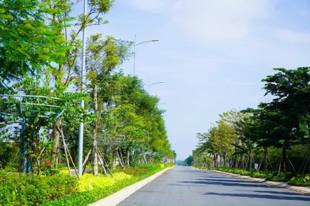 Đi đến slide 12