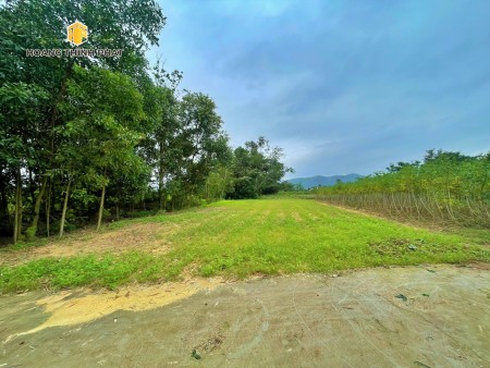 Ra mắt 3 lô F0 Hương Xuân, Hương Trà giá bán 4,x triệu/m2 sổ hồng từng lô, lh 0886196169