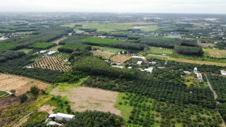 Vườn bưởi diện tích sử dụng 2400m2 có 150m thổ cư xã Bình Lợi khu dân cư hiện hữu