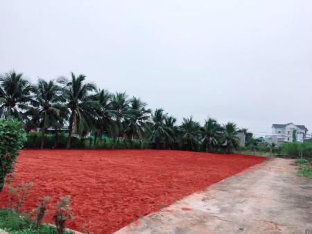 Đất nền Hàm Thắng gần trung tâm Phan Thiết cách Quốc Lộ 1A 50m sổ riêng từng nền