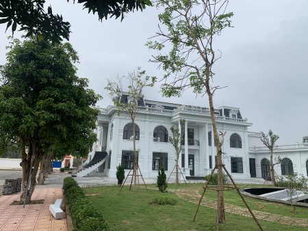 Đi đến slide 5