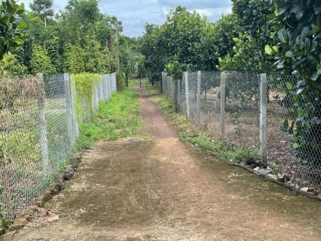 Bán đất thổ cư, sổ hồng riêng, giá dầu tư tại tp Long Khánh, khu vực đông dân cư
