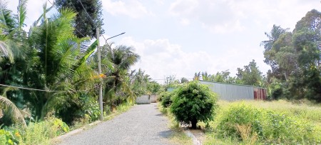 Mua đất nền thổ cư gần cầu Tân Hương với giá rẻ bất ngờ sổ chính chủ, đường lớn