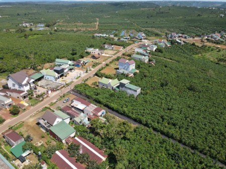 Đi đến slide 7