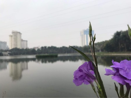 Đi đến slide 2