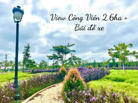 Đi đến slide 7