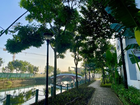 Đi đến slide 12