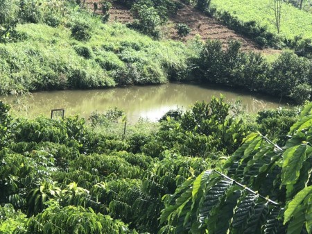 Đi đến slide 12