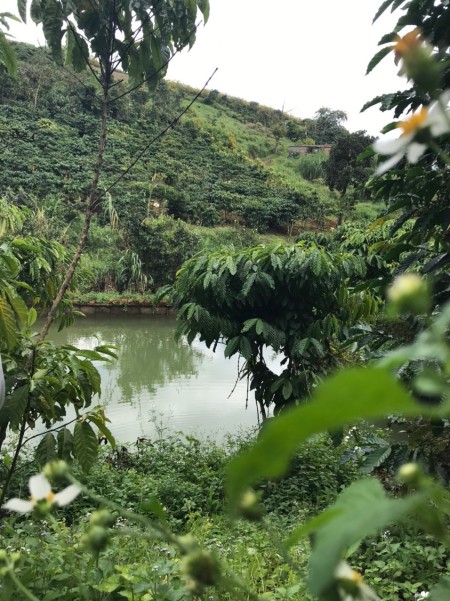 Đi đến slide 10
