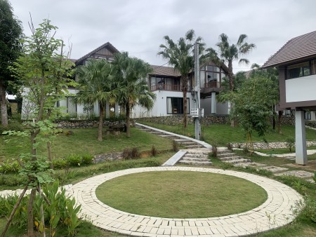 Bán BT đơn lập Thang Mây Village mặt hồ Bản Xôi, diện tích 288m2, giá 14tr/m2, chiết khấu 9%