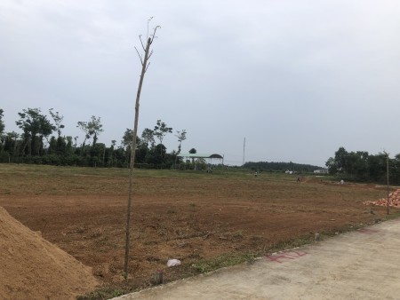 Đất đang HOT đầu tư cam kết sinh lợi - Phú Mỹ Golden Valley ngân hàng hỗ trợ vay 70%