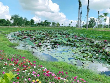 Đi đến slide 4