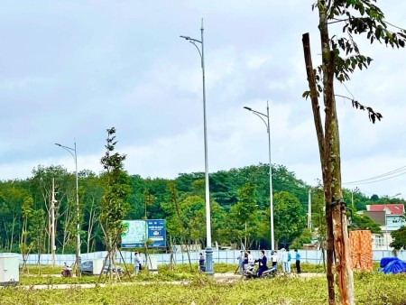 Đi đến slide 7