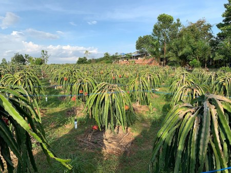 Đi đến slide 4