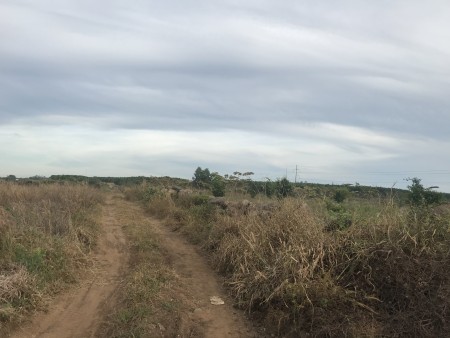 Đi đến slide 7