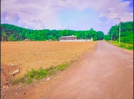 Bán đất nền tc giá đầu tư mặt tiền đường nhựa liên xã 19 - 26m Ngay TTHC Tân Hưng