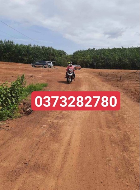 Cần bán miếng đất diện tích sử dụng 1200m2 đã có sổ pháp lý đầy đủ đường trên sổ 24m