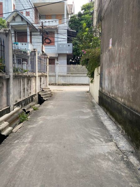 Cơ hội cho nhà đầu tư sáng suốt bán gấp lô 135m đường ô tô tại Đồng Tỉnh Nghĩa Trụ Văn Giang