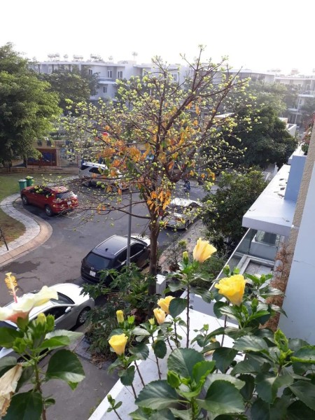 Đi đến slide 7