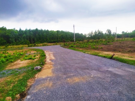 Đất Sào Phước Bình, vị trí đẹp tiềm năng, giá rẻ 1.7 triệu/m2 khả năng thanh khoản cao