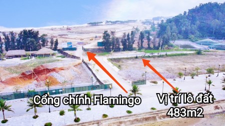 Bán đất mặt bằng 142 Hoằng Trường diện tích lớn, đường vào thoáng, xe vào tận nơi