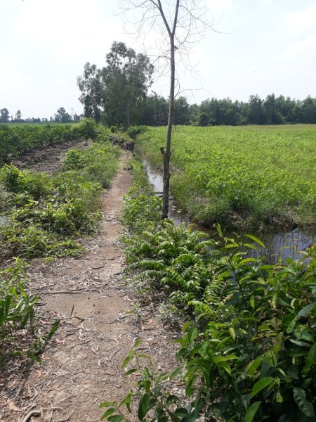 Đi đến slide 8