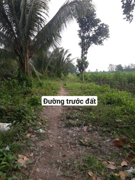 Đi đến slide 1